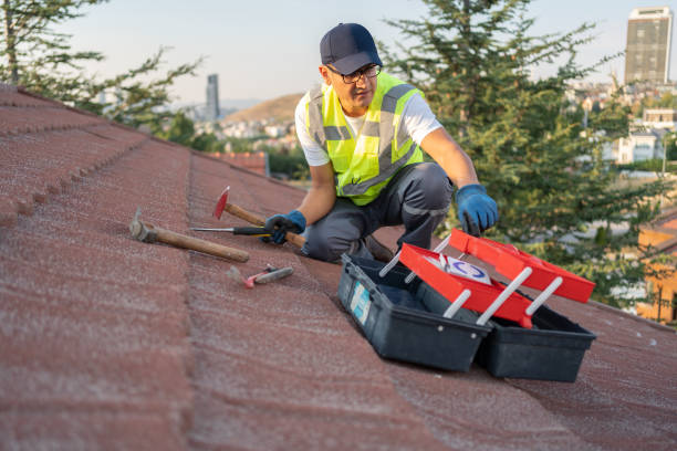 Best Hoarding Cleanup  in Sierra Ridge, CO